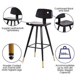 Flash Furniture Black LeatherSoft Barstools with Gold Tips 2PK -Kitchen & Dining Furniture Sales Store Belnick20LLC AYxxS02xxBKxxGGxxinset4xxdd409c
