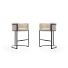 Manhattan Comfort Cosmopolitan Barstool in Cream and Black (Set of 2) -Kitchen & Dining Furniture Sales Store Manhattan20Comfort 2xxBS015xxCRxxAxx81623b