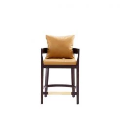 Manhattan Comfort Ritz Counter Stool in Camal and Dark Walnut
