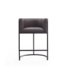 Manhattan Comfort Cosmopolitan Counter Stool in Pebble and Black