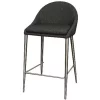 New Pacific Direct 448527-NS-BS Zane KD Fabric Counter Stool Brushed Stainless Legs; Night Shade - Set of 2