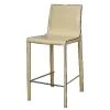 New Pacific Direct 448526R-98 Gervin Recycled Leather Counter Stool; Vanilla - Set of 2 -Kitchen & Dining Furniture Sales Store Unbeatablesale20Inc npcd835xx650xx441f6f