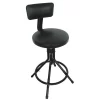 Zoro Select Round Stool with Backrest, Height 24" to 28"Black