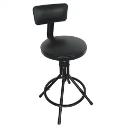Zoro Select Round Stool with Backrest, Height 24" to 28"Black